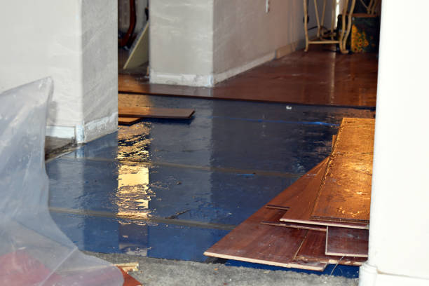 Professional Water Damage Restoration technician working in Essexville, MI